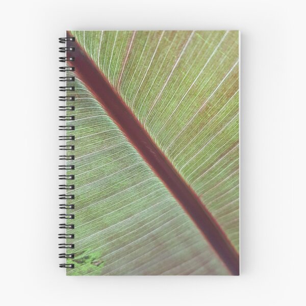 Item preview, Lines designed and sold by Becca Kirkpatrick.