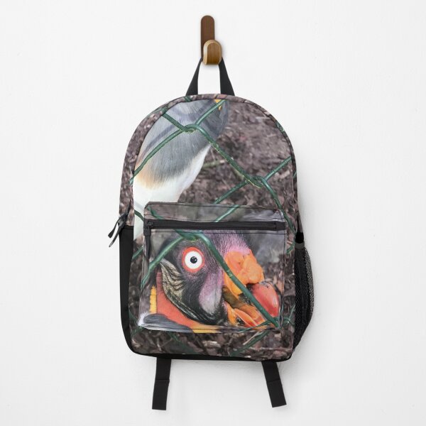 Item preview, Crazy king vulture bird behind chain link fence bars | crazy plucked chicken in single animal husbandry designed and sold by sopfanna.