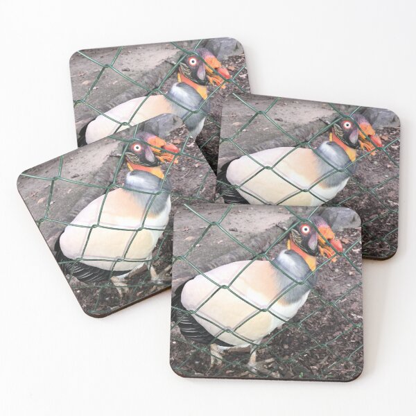 Item preview, Crazy king vulture bird behind chain link fence bars | crazy plucked chicken in single animal husbandry designed and sold by sopfanna.