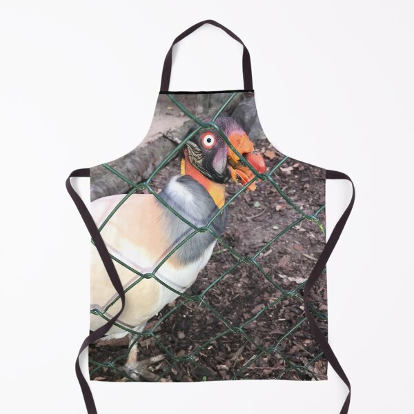 Item preview, Crazy king vulture bird behind chain link fence bars | crazy plucked chicken in single animal husbandry designed and sold by sopfanna.