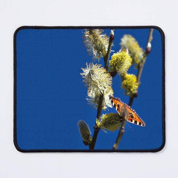 Item preview, Blue Sky and a Butterfly designed and sold by Violaman.