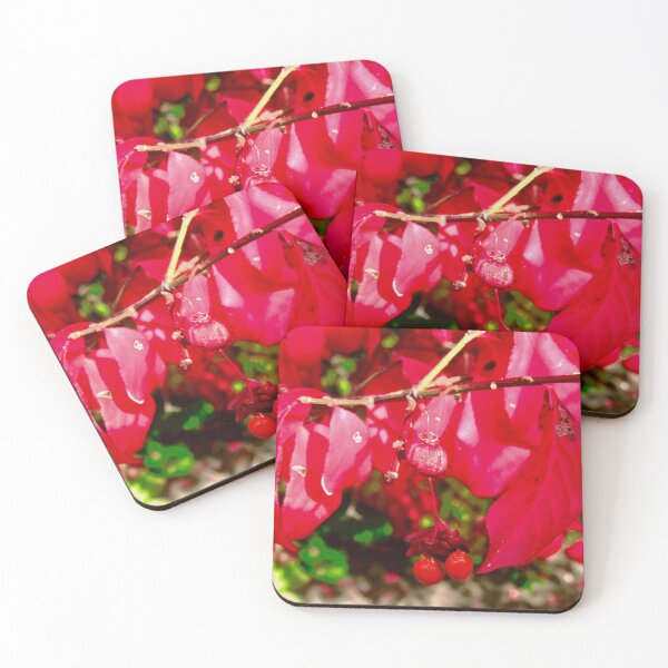 Item preview, Red Leaves and berries designed and sold by Shulie1.