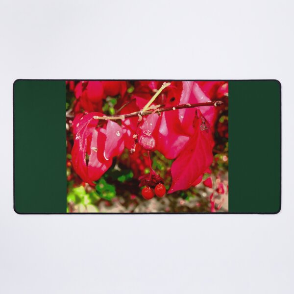 Item preview, Red Leaves and berries designed and sold by Shulie1.