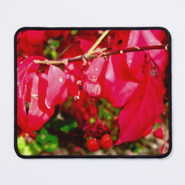 Item preview, Red Leaves and berries designed and sold by Shulie1.
