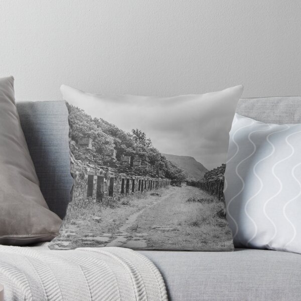 Item preview, Anglesey Barracks in monochrome designed and sold by cdkphotos.