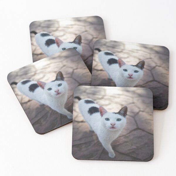 Item preview,  white cat  designed and sold by anisbbmbrush.