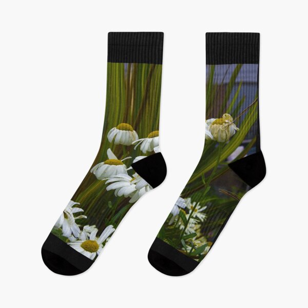 Item preview, Daisies In The Garden designed and sold by KarenZuk.