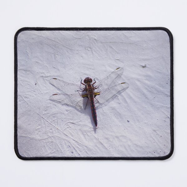 Item preview, Dragonfly designed and sold by Lacey Schmidt.