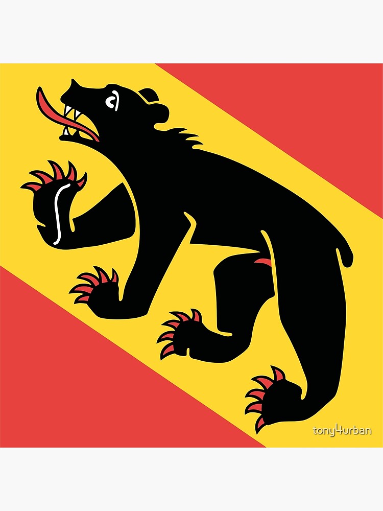 Canton of Bern flag