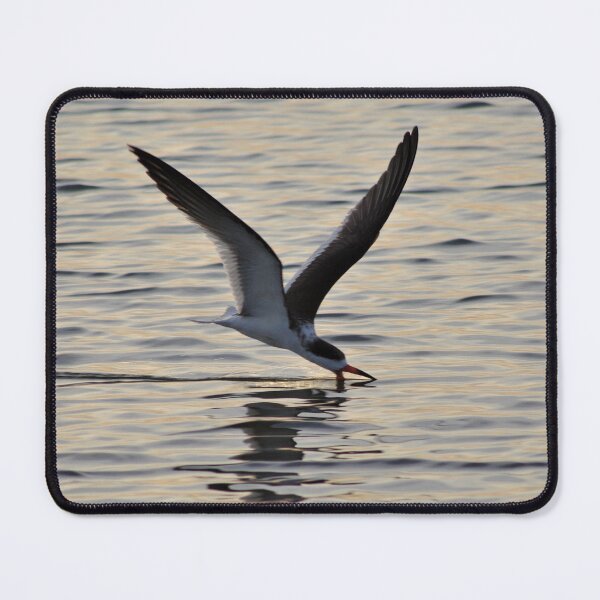 Item preview, Skimming for Fish designed and sold by Lacey Schmidt.