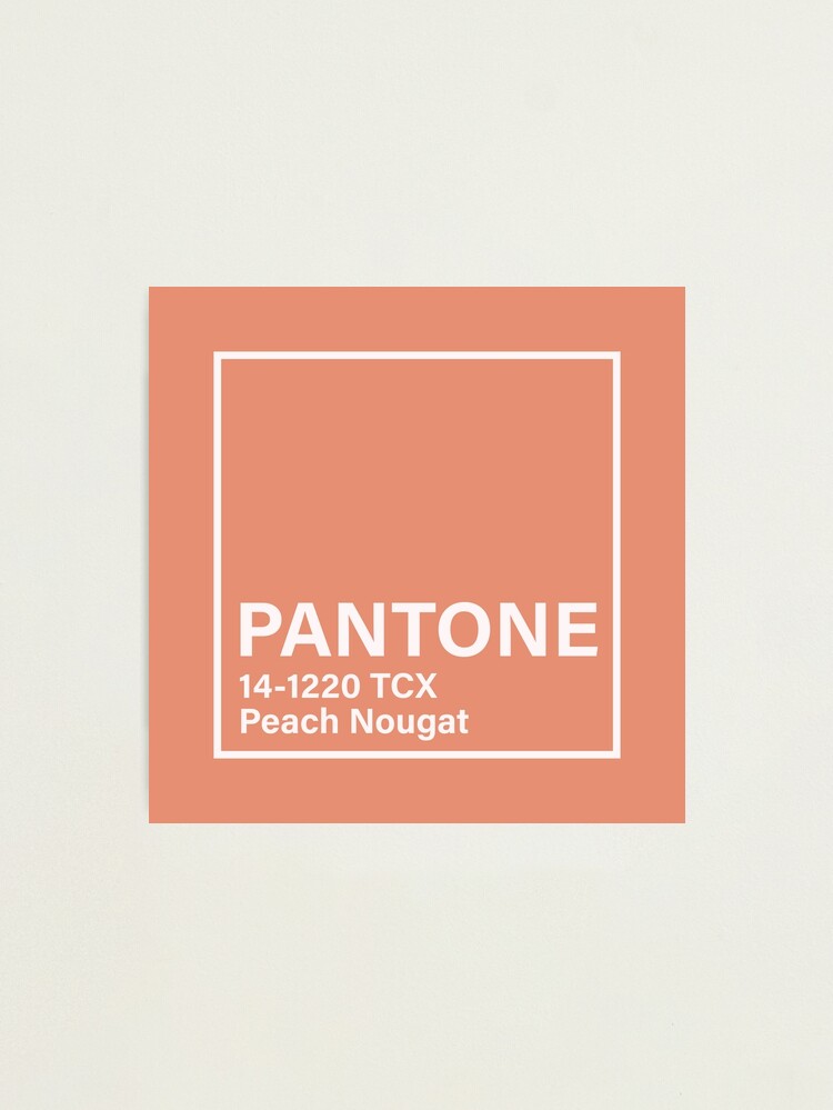 PANTONE POSTCARDS — Ash Cook Designs