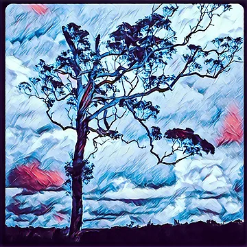 Artwork thumbnail, Dramatic Sky by RandaRubyRed
