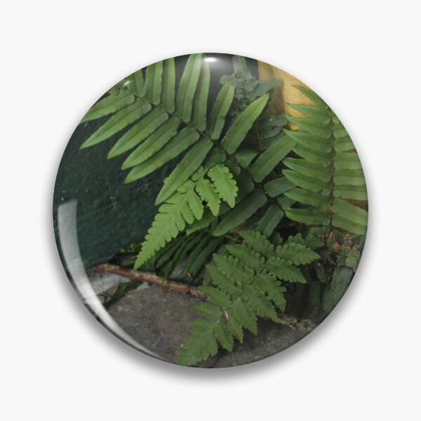 Item preview, Small fern in NOLA designed and sold by grey-hand-art.