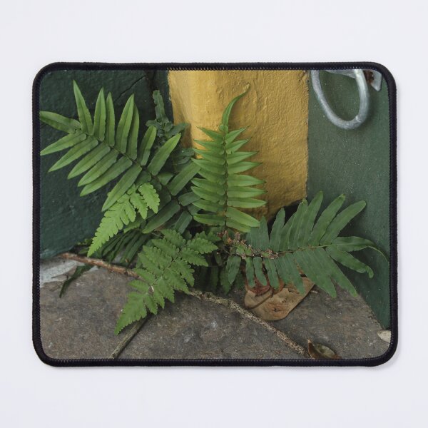 Item preview, Small fern in NOLA designed and sold by grey-hand-art.