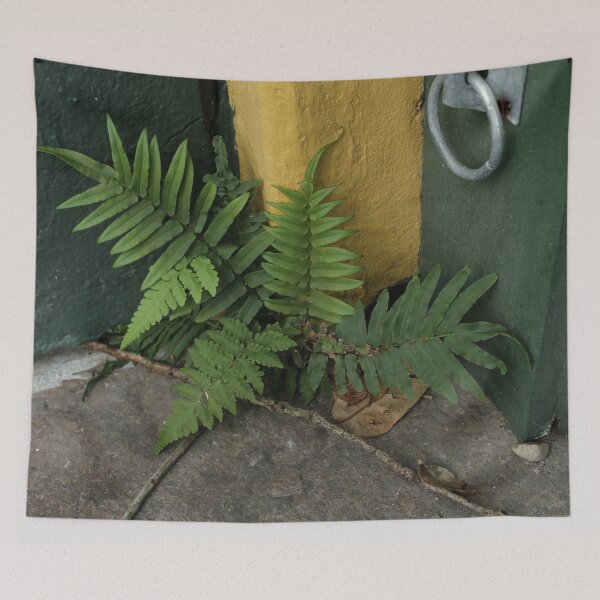 Item preview, Small fern in NOLA designed and sold by grey-hand-art.