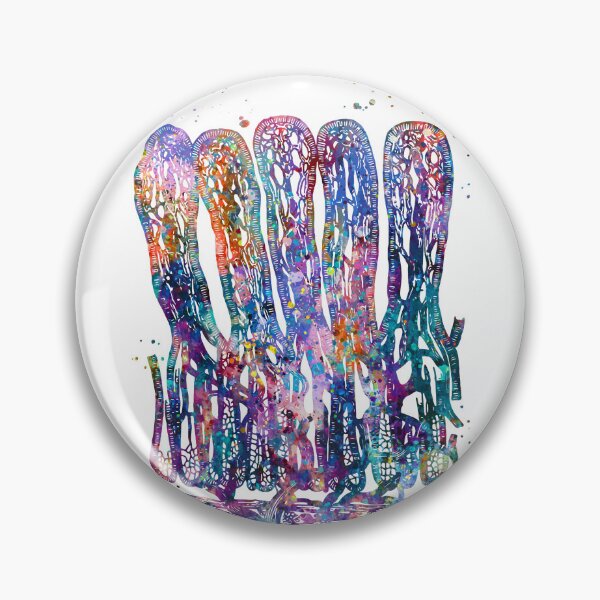 Item preview, Intestinal Villi Anatomy designed and sold by EvasDreams.