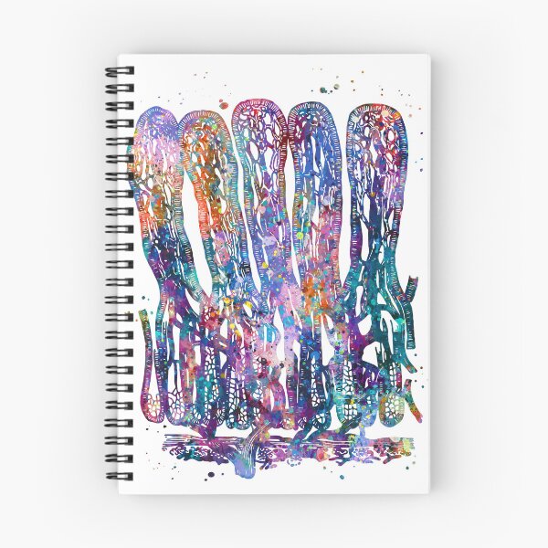 Item preview, Intestinal Villi Anatomy designed and sold by EvasDreams.
