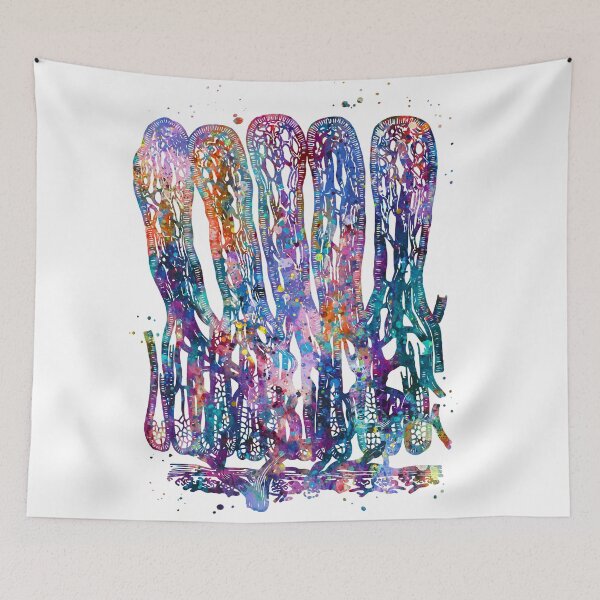 Item preview, Intestinal Villi Anatomy designed and sold by EvasDreams.