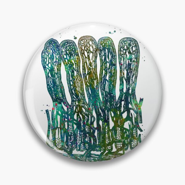 Item preview, Intestinal Villi Anatomy designed and sold by EvasDreams.