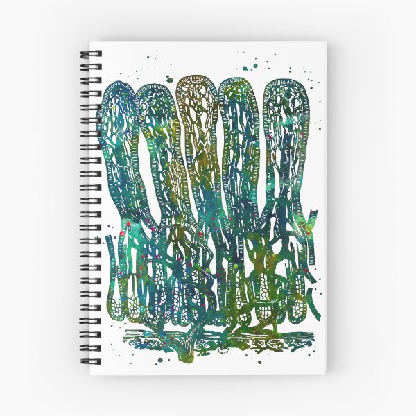Item preview, Intestinal Villi Anatomy designed and sold by EvasDreams.