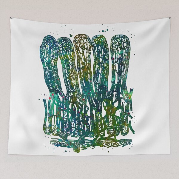 Item preview, Intestinal Villi Anatomy designed and sold by EvasDreams.
