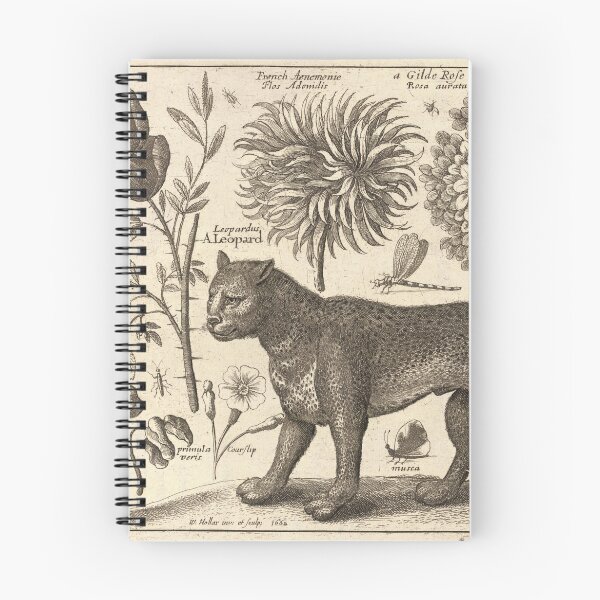 Item preview, Wenceslaus Hollar - Leopard designed and sold by billythekidtees.