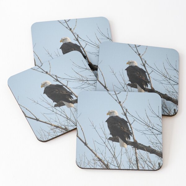 Item preview, Freedom - 4 designed and sold by Debbie Mueller.