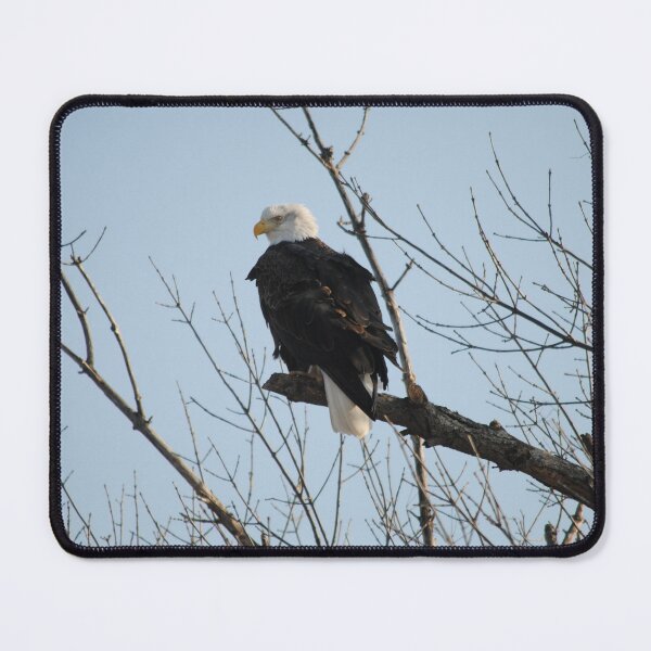 Item preview, Freedom - 4 designed and sold by Debbie Mueller.