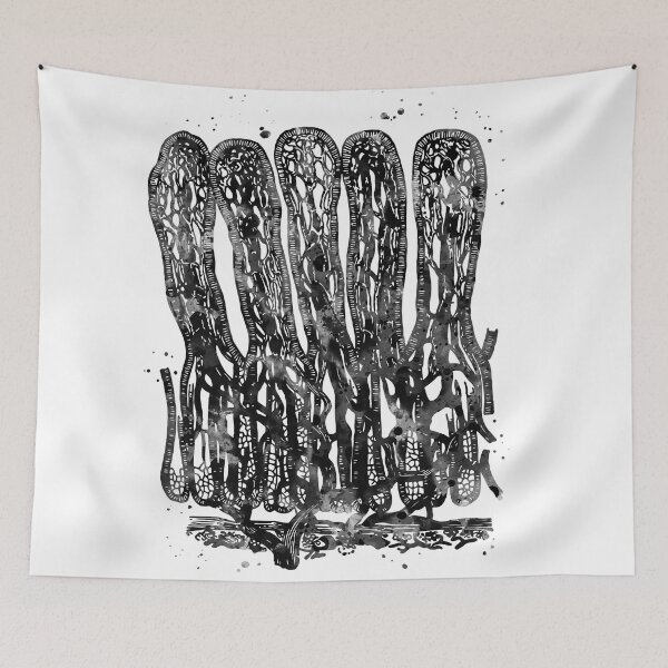 Item preview, Intestinal Villi Anatomy designed and sold by EvasDreams.