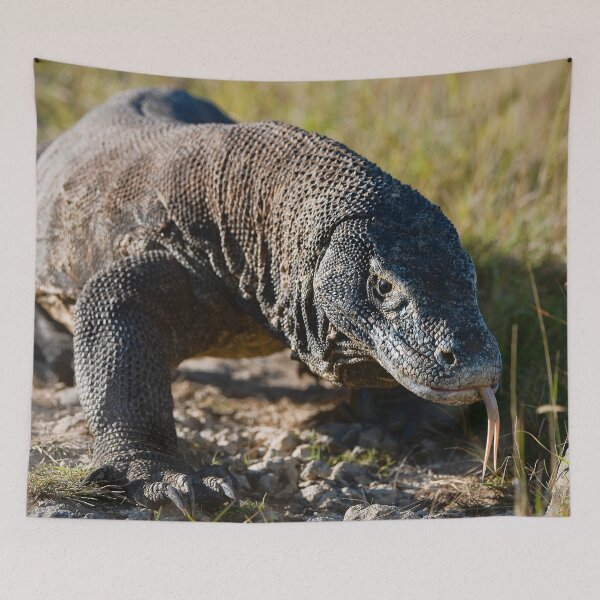 Item preview, Komodo dragon in the wild designed and sold by Midnight-Hour.