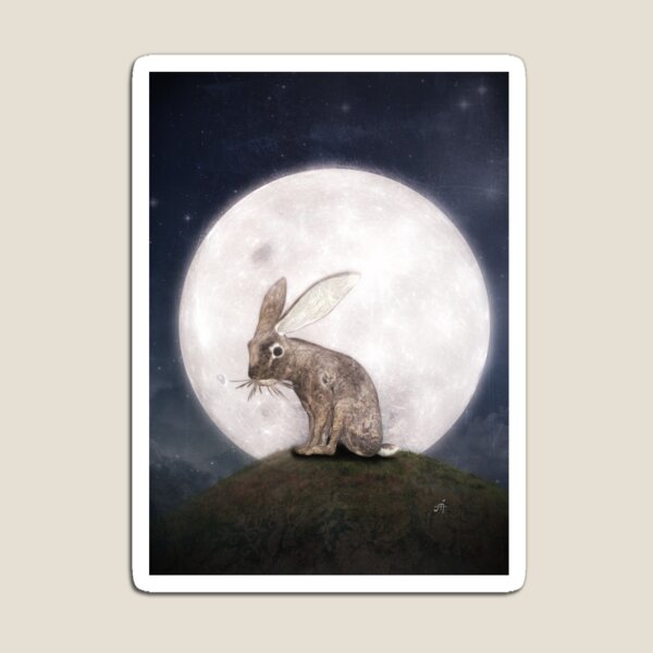 Artikelvorschau, Night Rabbit entworfen und verkauft von Manndi.