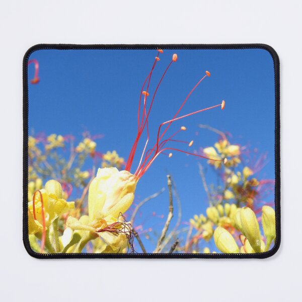 Item preview, Desert Bloom in Yellow and Red designed and sold by hendrickssdh.
