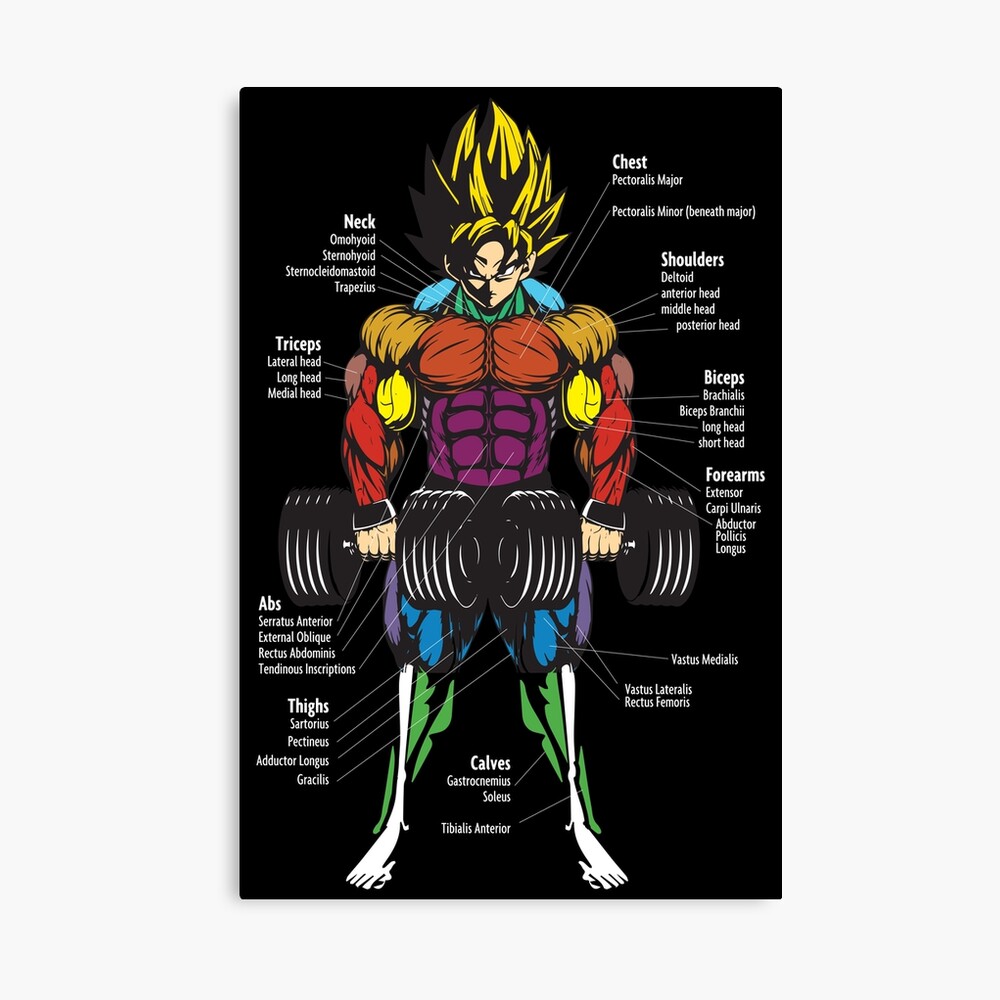Top 75+ anime workout routines best - in.duhocakina