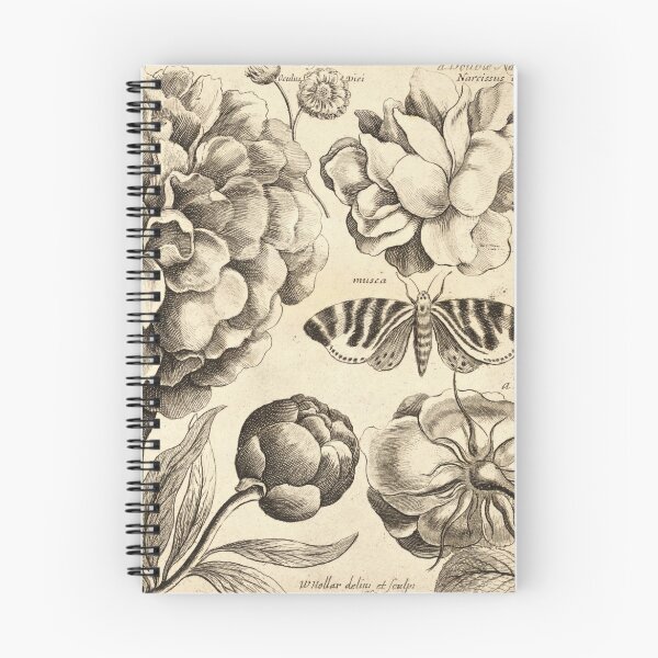 Item preview, Wenceslaus Hollar - Peonie designed and sold by billythekidtees.