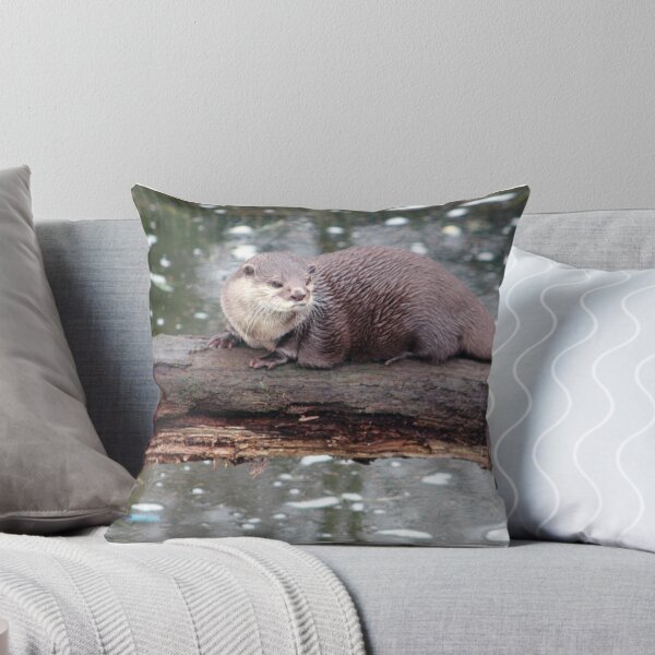 Artikelvorschau, Otter auf einem Baumstamm entworfen und verkauft von MrIanP.