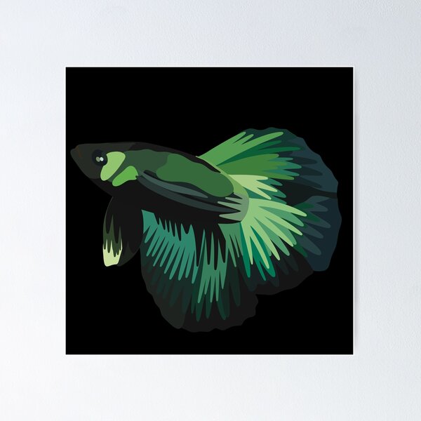 Green Betta Fish Posters for Sale