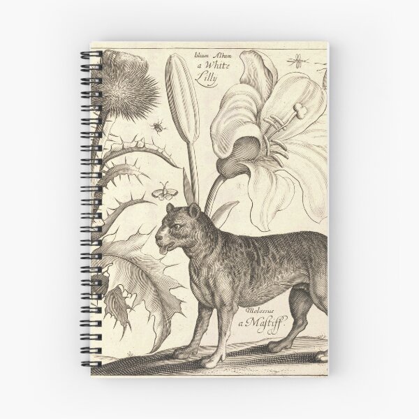 Item preview, Wenceslaus Hollar - Mastiff and Boar designed and sold by billythekidtees.