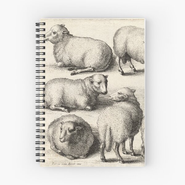 Item preview, Wenceslaus Hollar - Sheep designed and sold by billythekidtees.