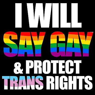 Artwork thumbnail, I will say gay and protect trans rights by Gayesthetic