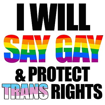 Artwork thumbnail, I will say gay and protect trans rights by Gayesthetic