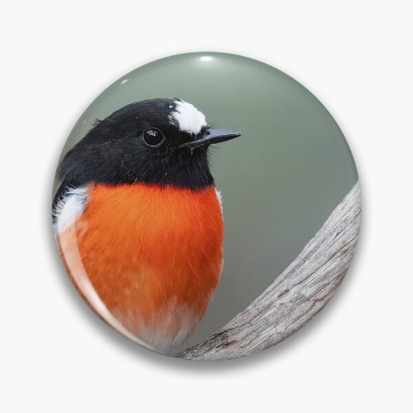 Item preview, Scarlet robin (male) designed and sold by John  Kowalski.