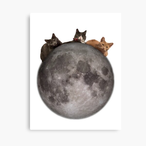 Our Cats Canvas Print