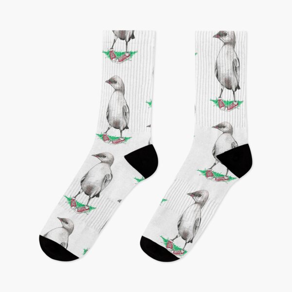 Item preview, Small Pratincole in Low Tops designed and sold by JimsBirds.