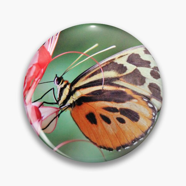 Artikelvorschau, Orange Schmetterling entworfen und verkauft von OwlBeDesigning.