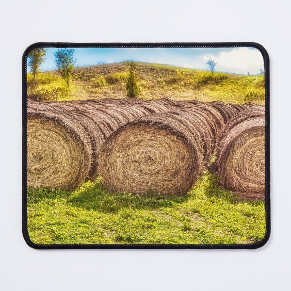 Item preview, Hay Bales 5 designed and sold by Robert Alsop.