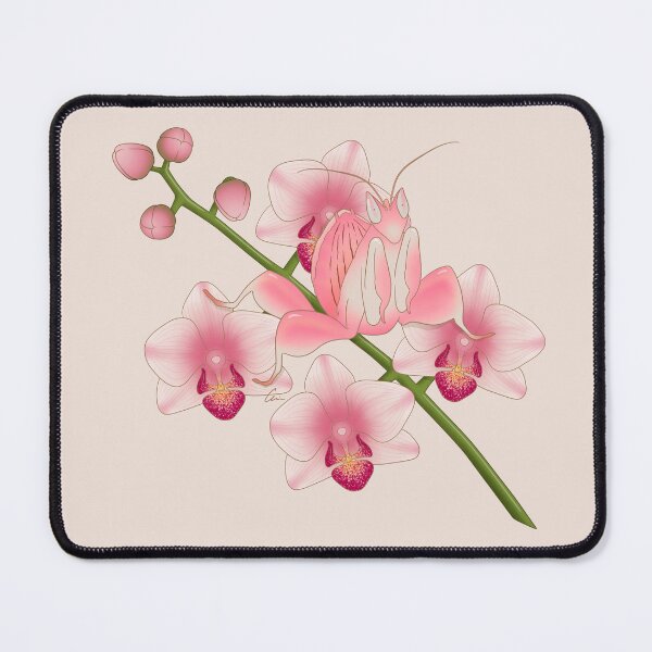 Item preview, Orchid Mantis, Beautiful Praying Mantis and Orchids designed and sold by anacecilia.