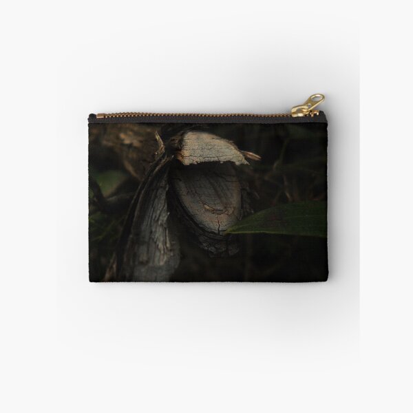 Item preview.