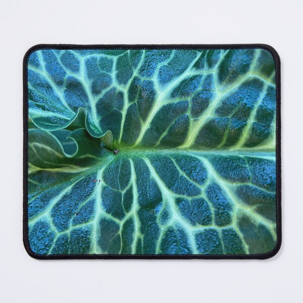 Item preview, Closeup Variegated leaf designed and sold by WildcraftTrade.