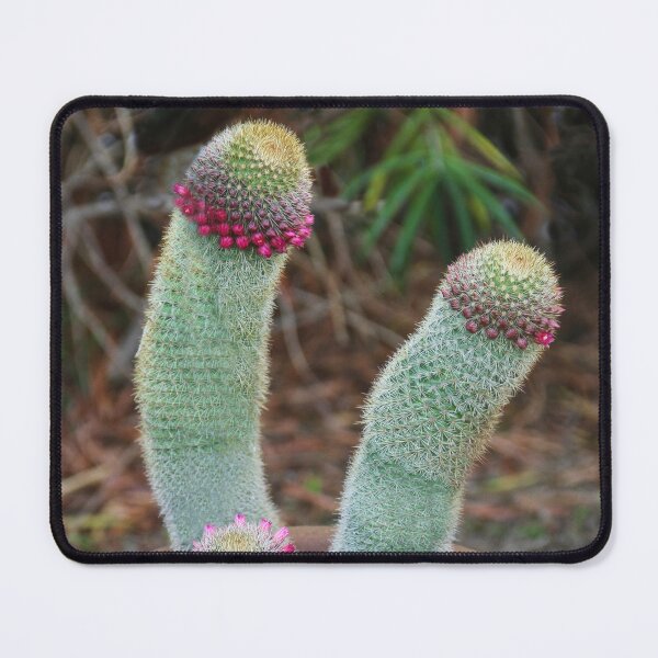 Item preview, Reaching for the Sun designed and sold by heatherfriedman.