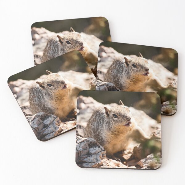 Item preview, Happy squirrel in nature designed and sold by Midnight-Hour.